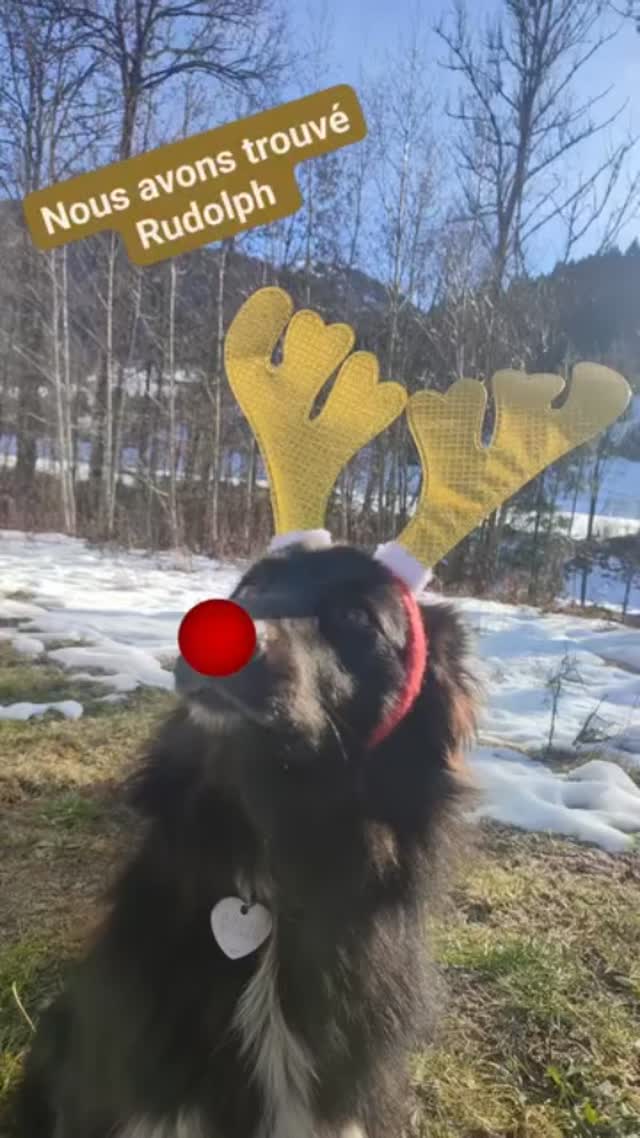 @vadrouillesadroiteagauche