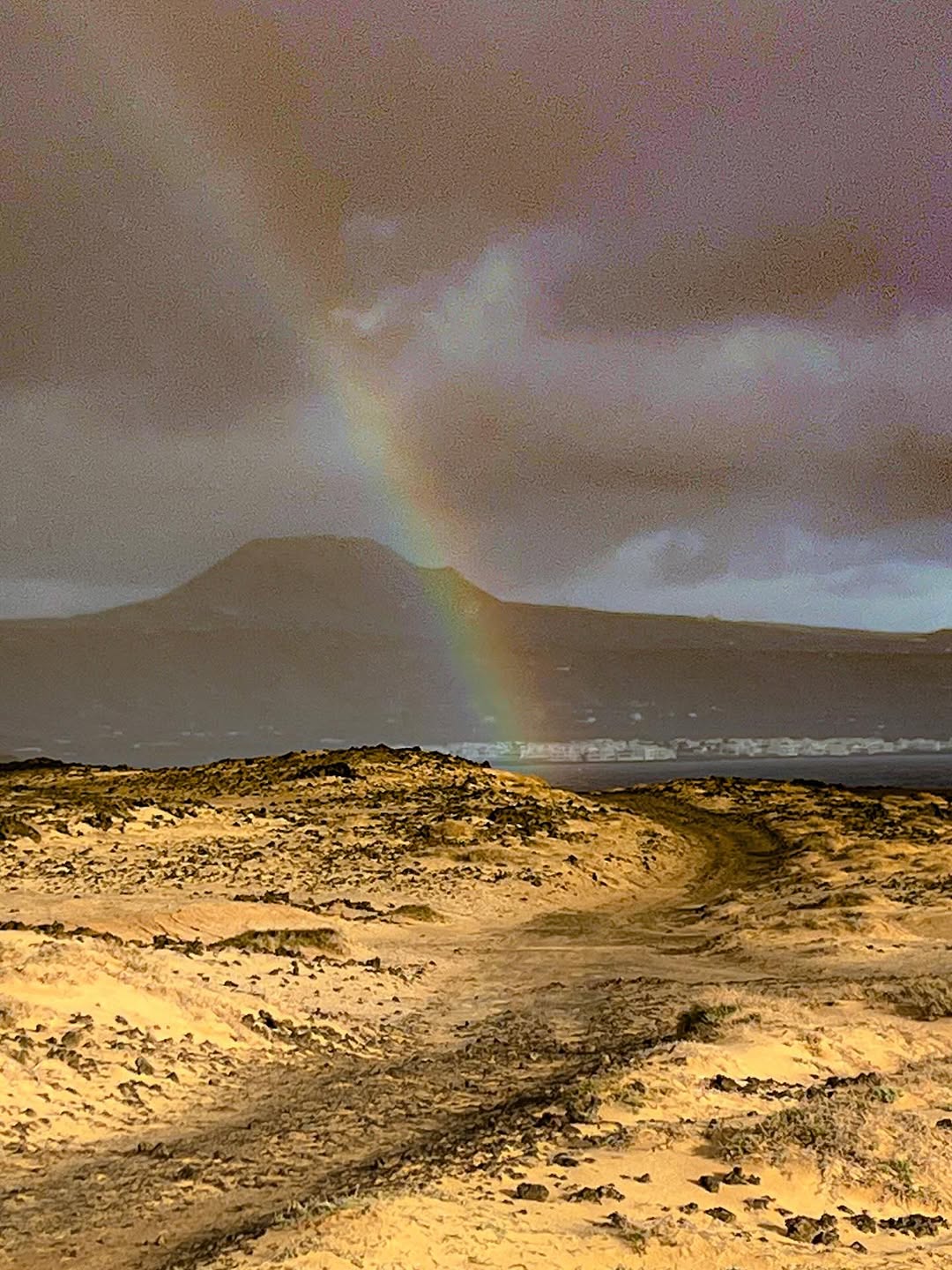 @thesecretgardenlanzarote