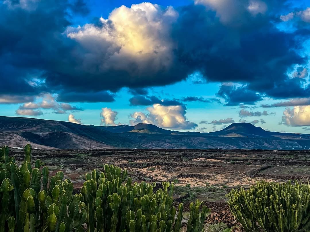 @thesecretgardenlanzarote