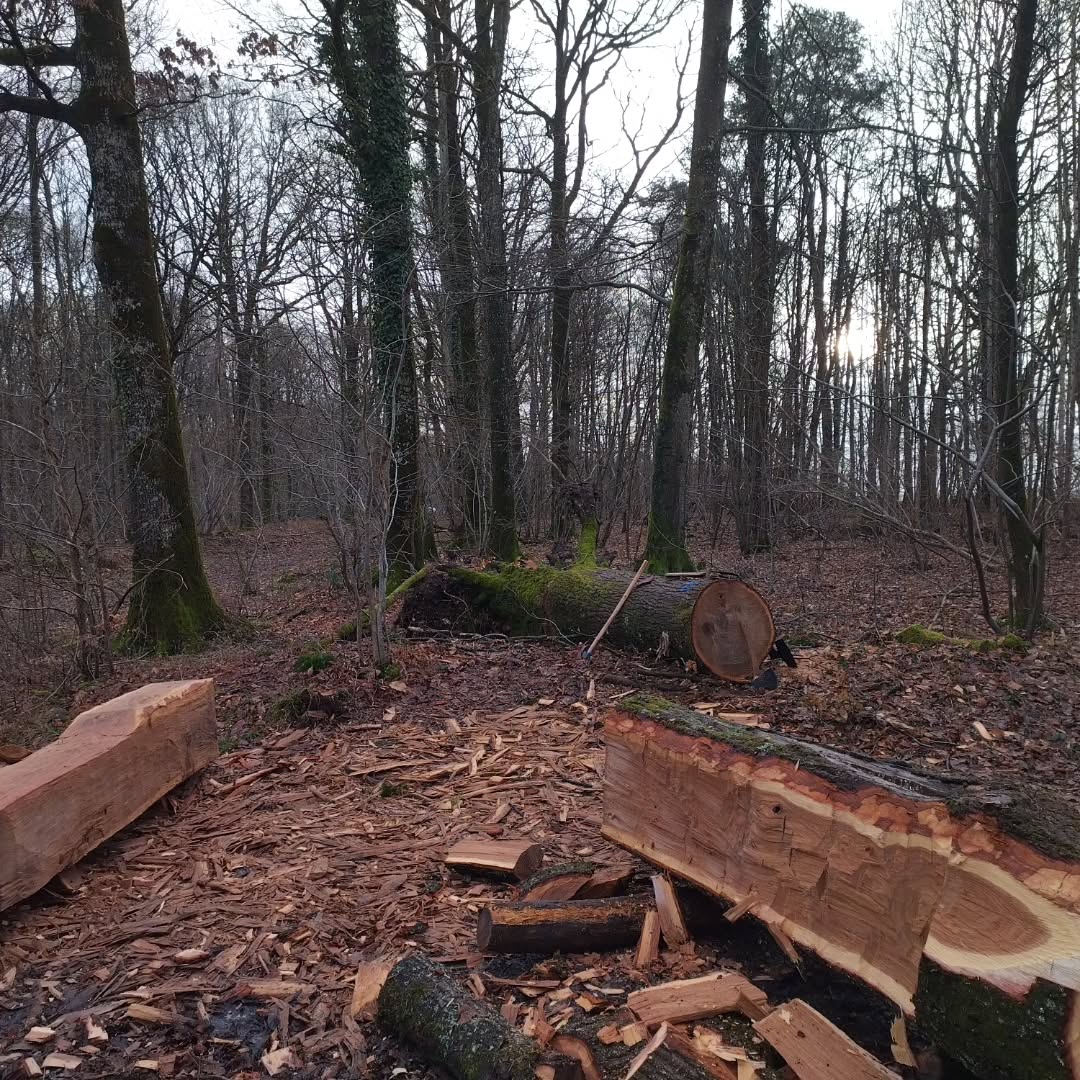 @charpenteriedumoulin