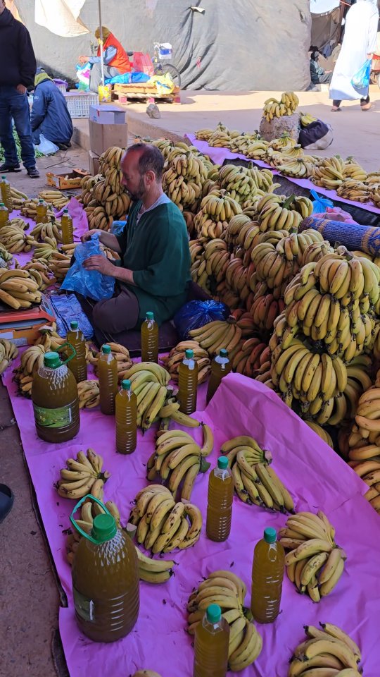 @the_vadrouilleurs_forreveur