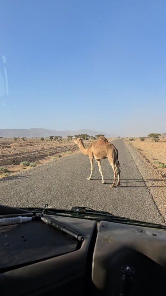 @the_vadrouilleurs_forreveur