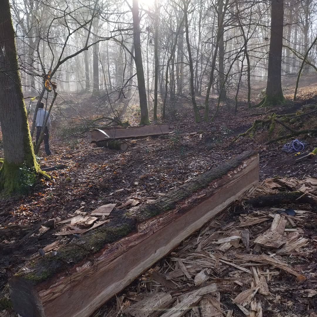 @charpenteriedumoulin