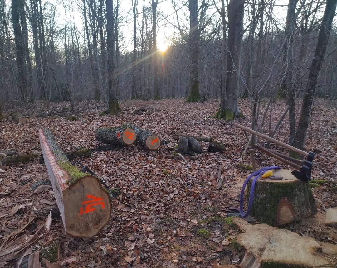 @charpenteriedumoulin