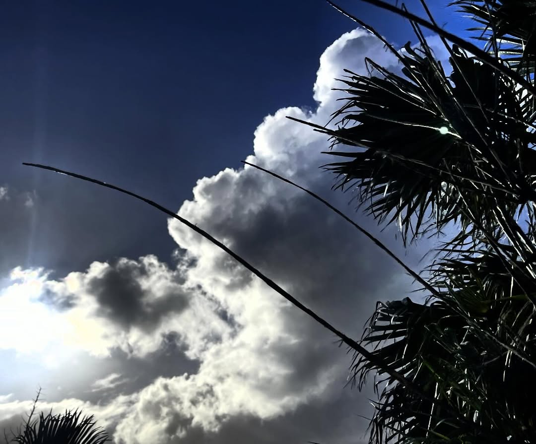 @thesecretgardenlanzarote