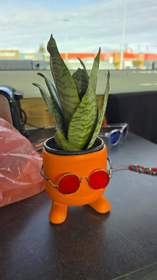 @the_vadrouilleurs_forreveur