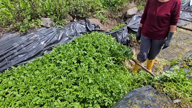 @voyageetnouvellevie