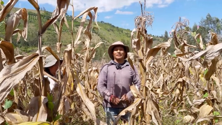 @voyageetnouvellevie