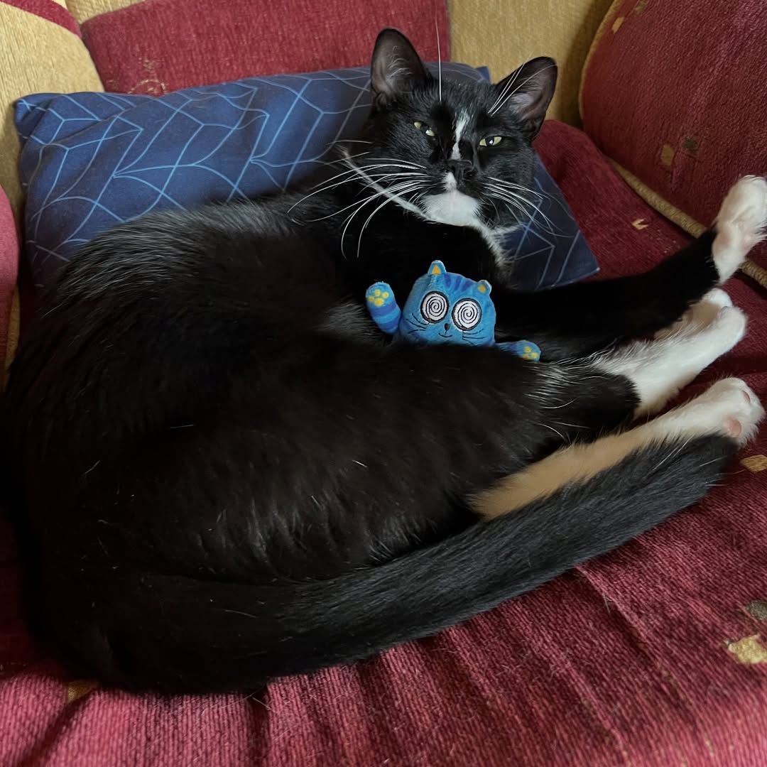 @voyageetnouvellevie