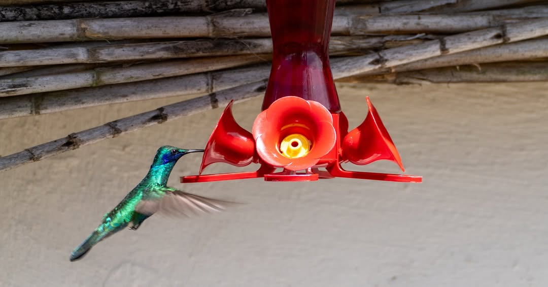 @voyageetnouvellevie