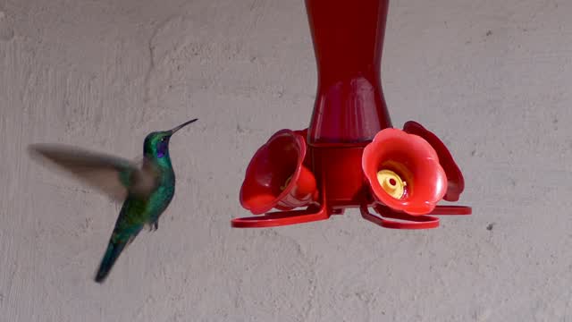 @voyageetnouvellevie