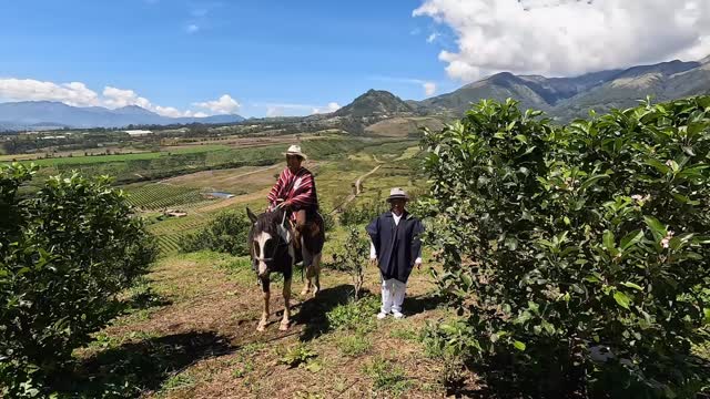 @voyageetnouvellevie