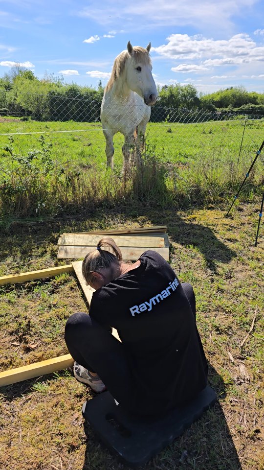 @the_vadrouilleurs_forreveur