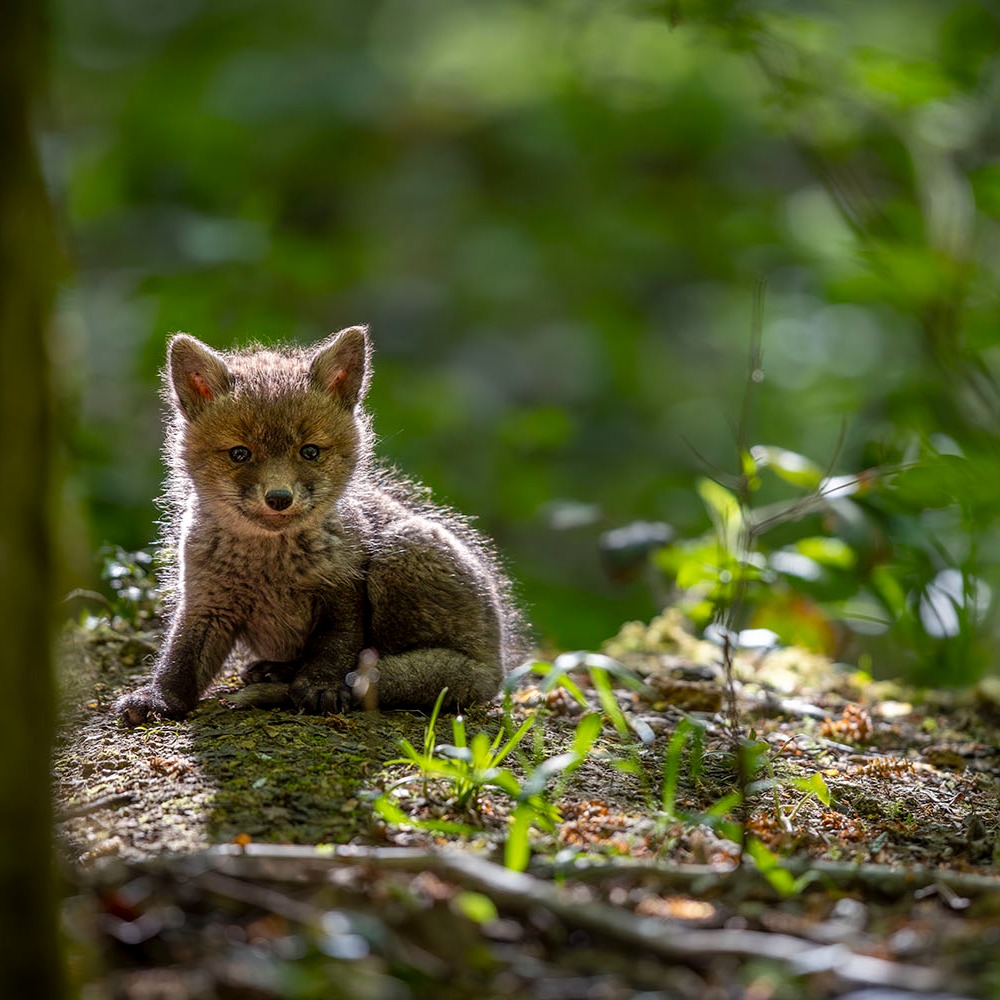 @franck.fouquet.pictures