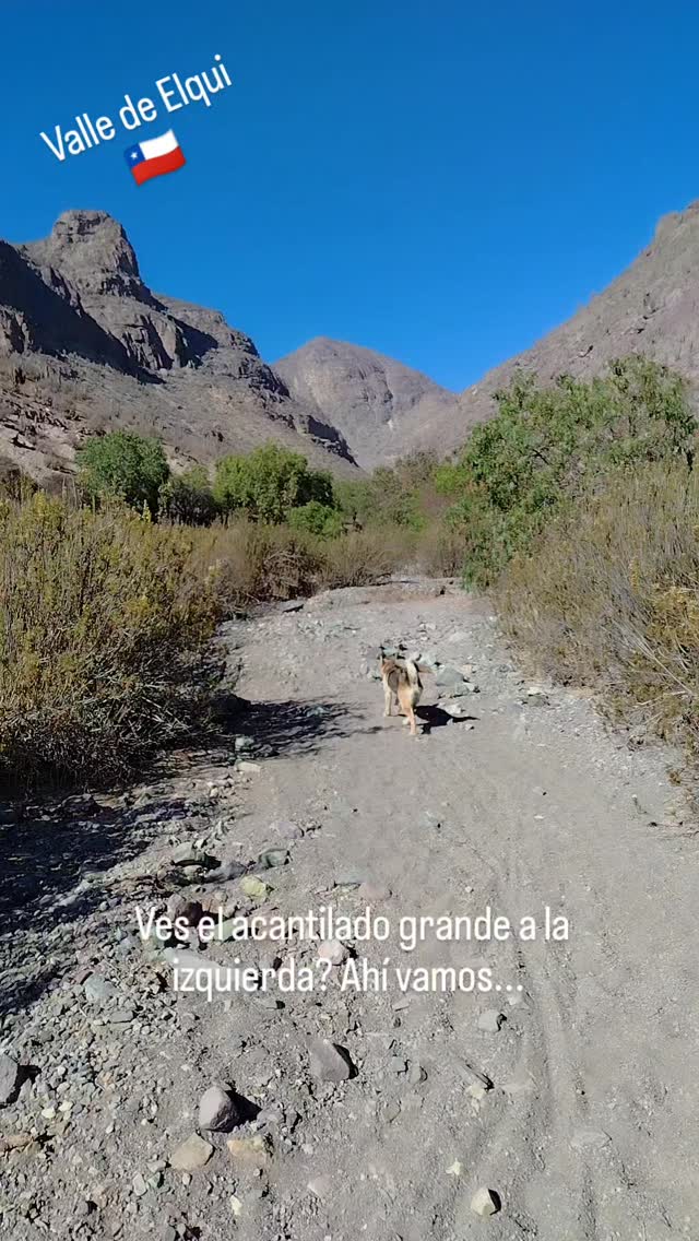 @fuegodepiedras