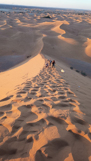 La Grande Dune de l’Erg Chebbi