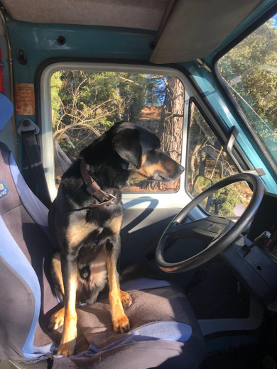 Rébou, fidèle copilote