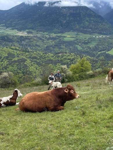 environment de travail pas facile facile