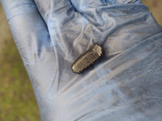 WhatsApp Image 2026-03-29 at 18.43.28.jpeg