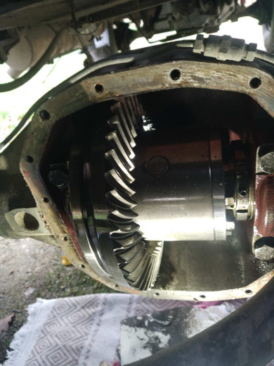 WhatsApp Image 2026-03-29 at 18.43.29.jpeg