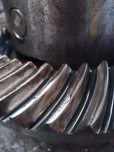 WhatsApp Image 2026-03-29 at 18.52.44 (2).jpeg