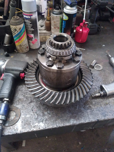 WhatsApp Image 2026-03-29 at 18.52.44 (1).jpeg