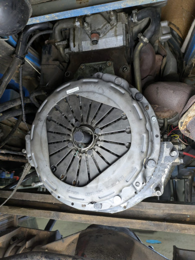 WhatsApp Image 2026-03-30 at 13.33.07.jpeg