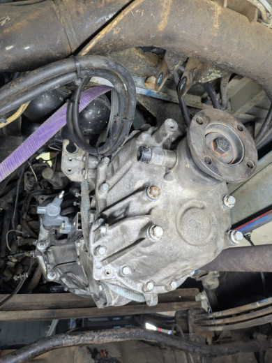 WhatsApp Image 2026-03-30 at 13.25.18.jpeg