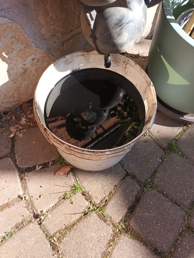 20260509_174600.jpg