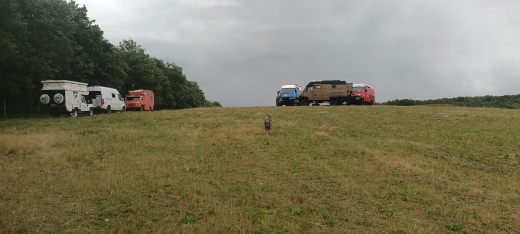 media_20260515_091016.jpg