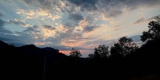 IMG_20260811_203804274_HDR~3.jpg