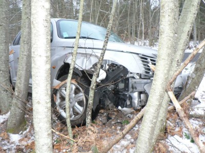 Par contre les arbres de Sologne sont costauds