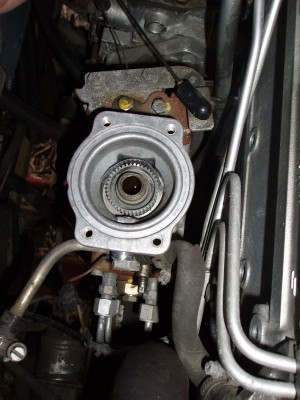 P1010201.JPG