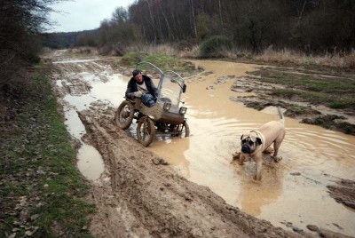 favril 2010 (9).JPG