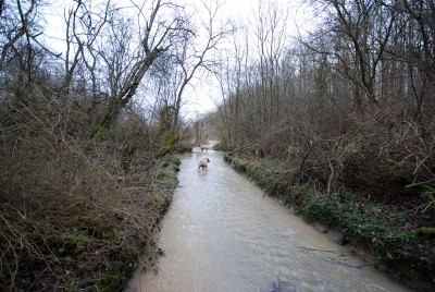 Une partie de la rivière qui traverse le terrain sur tout son long!