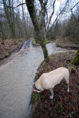 favril 2010 (23).JPG