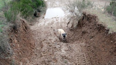Dunkan inspecte les lieux!