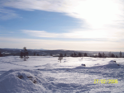 paysage