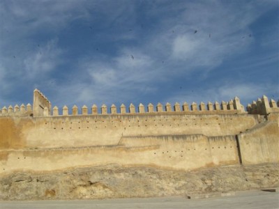 IMG_6627.jpg
