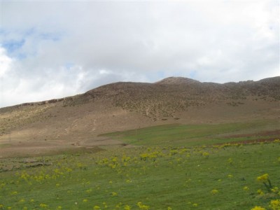 IMG_6730.jpg