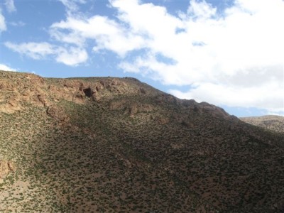 IMG_6796.jpg