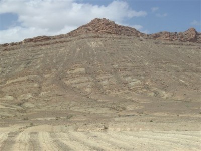 IMG_6844.jpg