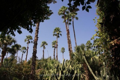 maroc2009_103_114.jpg