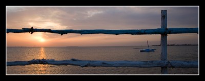 IMG_5100.jpg