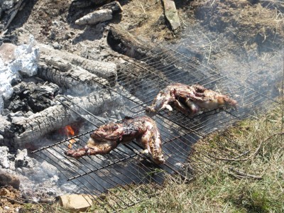 PICT0033.JPG