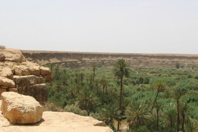 IMG_9375.jpg
