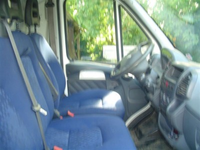 boxer4x403.JPG