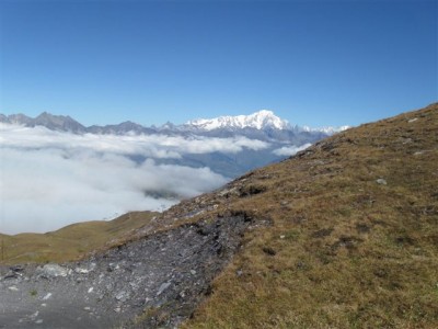IMG_8427.jpg