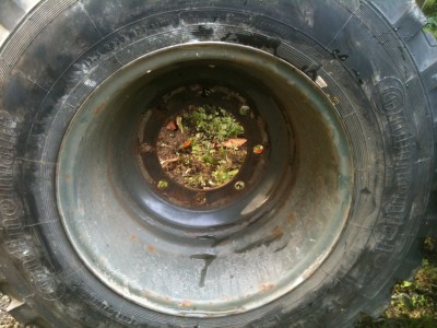 intérieur jante trm2000