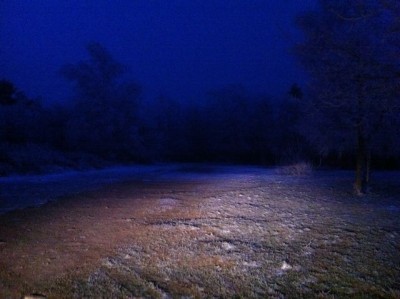 IMG_1156.jpg